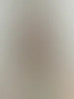 đ Feed-Edition đ