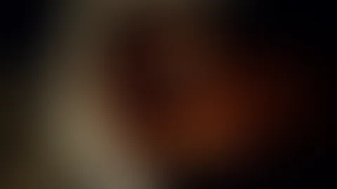 Dildo