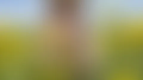 Bin ich deine Rapsfeldversuchung 🌾✨?