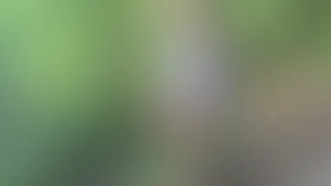 Trailor kostenlos für meine ,,Feedler“