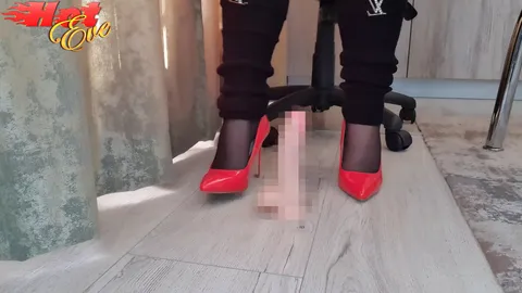 Wixanleitung mit Nylons