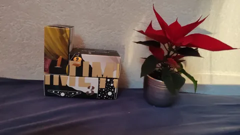 1-3 Dezember