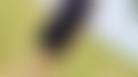 Traumhaft schön hier🥰