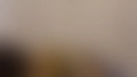 V. I. P P**i Feed Video Nr. 1