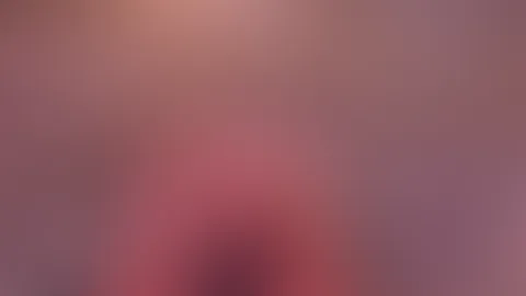 ☀️☀️☀️