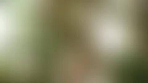 đ„”