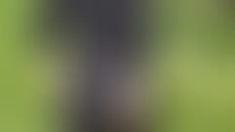 Zeit, mich abzuklopfen… 😏 Habt ihr die Grashalme auf meinem 🍑 bemerkt? Die sind so schön kleben geblieben… Wer hat nicht wegschauen können? Gibt zu 💦