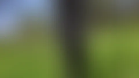 die Beine deiner Träume