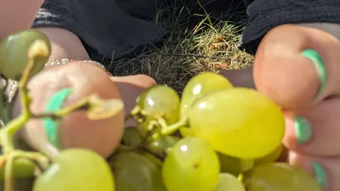 Trampling Grapes in Garden with türkis toeth