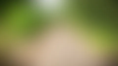 War heute joggen im Wald, hab zwischendurch eine kleine Pause gemacht, mich erleichtert und den Moment genutzt, ein bisschen für mich selbst zu sein🤭🤭
