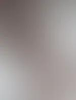 Blondi