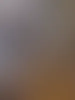 Lust auf einen geilen Clip đ im Feed fĂŒr Abonnenten sind jetzt einige neue Clips, sowie alle Inhalte kostenlos zu finden
