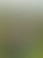 Wir lieben unsere boobs