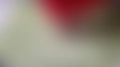Badewannen Spaß