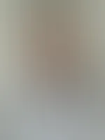 🌫️ Feed-Edition🌫️