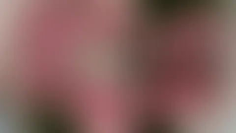 50% Neujahrsrabatt