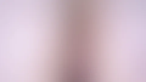 Reiter Videođ
