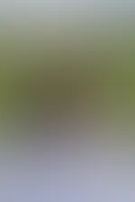 Ich wünsche dir einen schönen Wochenstart 💋