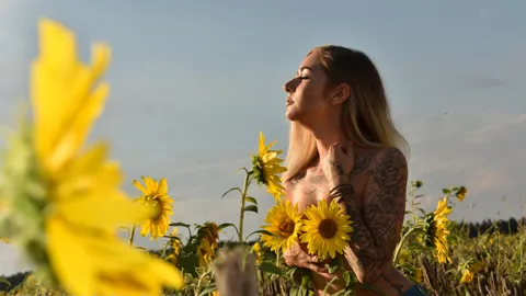 Mein schönes Sonnenblumenfotoshooting