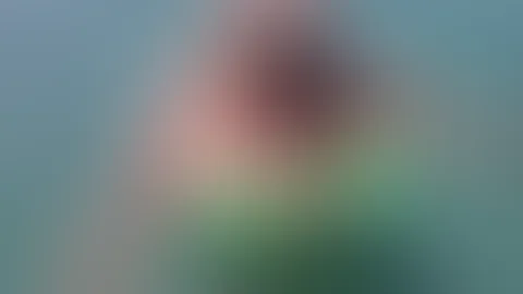Im Wasser fühlen sich die Titten wohl… sieht das nicht scharf aus