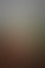 Dessou orange