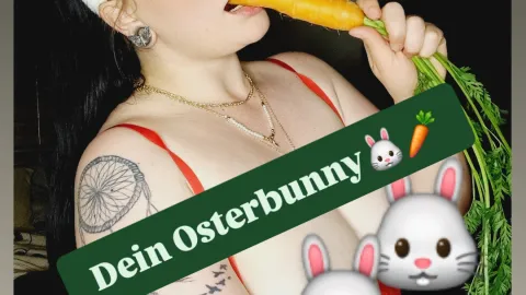🐰 Dein Oster Bunny🐰🥕