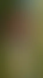 Ich will den Sommer zurück...