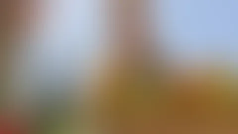 Ich wünsche dir eine sonnige Woche ☀️