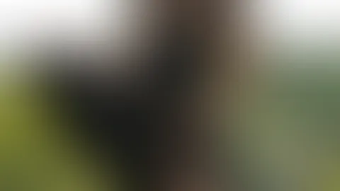 Auf der Terrasse, wo uns alle sehen können? đđ