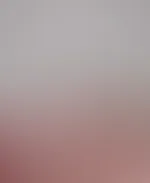 đ Feed-Edition đ