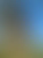 Ich war heute endlich mal wieder draußen unterwegs - meinst du ich hab was unter dem Rock ?! 😮💨