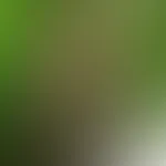 Wild, ungezähmt und bereit, dir den Dschungel heißer Träume zu zeigen 🌿🐆 … Traust du dich, näher zu kommen?