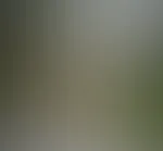 Im Regen blank gezogen 🌧
