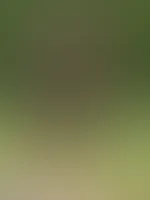 Es gibt auch normale Bilder von mir :-)