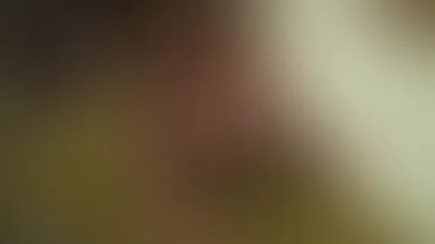 Am Ballermann da ballert man!