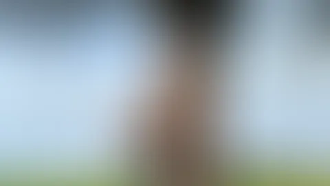 Im transparenten Dessous lehne ich an einen Baumstamm. Siehst du meine harten Nippel?