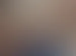 Es gibt bald Einblicke in den Nonutnovember
