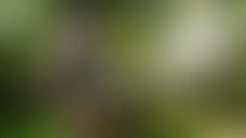 Mehr vom Oldtimer und mir ?