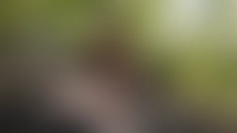 😂
