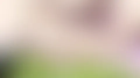 Teil 2 Softcore vom Alpha mich outdoor gef**kt