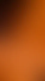 Ein frohes neues Jahr meine Lieben✨️🔥♥️