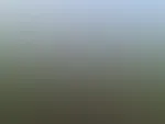 đđ„”đ