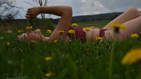 Natur PUR in der Blumenwiese