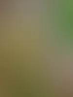 Was hier wohl passiert ist?
