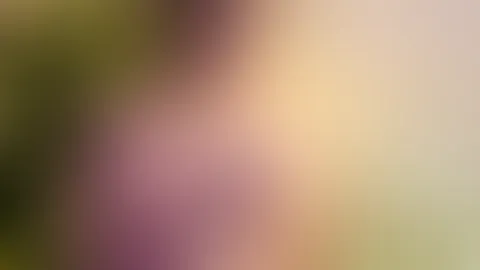 Nicht mehr lange dann gibt’s Geschenke
