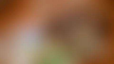 Megageiles Spiel - Titty Twister 18+ GirlGirl - Das müsst ihr euch anschauen!