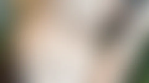 Friday Babyy🔥😜 Ich bin schon wieder soo horny und hab den Lush heute wieder auf ganz besonders günstig gestellt 🤤 alle stufen 💦 Januar ist ja teuer genug 🔥lass uns spritzen Babe 💦 übrigens kanns