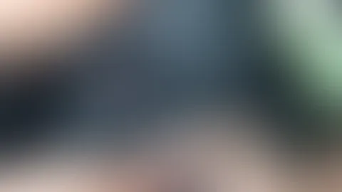 autofahrt mit bestie