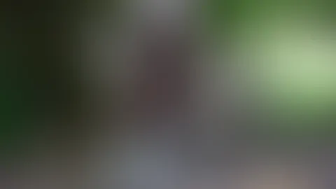 Outdoor P**sen im Wald! Hose runter und losgep**st und das direkt neben dem Weg! so richtig viel kam da nicht, ich hatte die ganze Zeit Angst das jemand kommt und mich erwischt! Ich wollte es dir tr