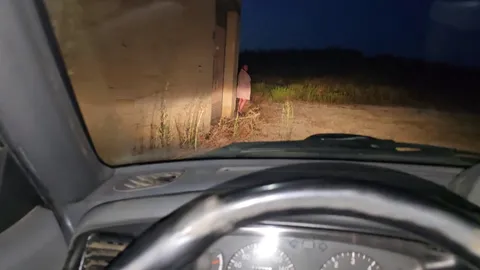 Slut sucks you off in your car